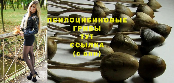 экстази Лиски