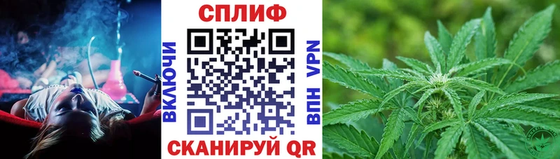 как найти закладки  Ельня  Конопля THC 21% 